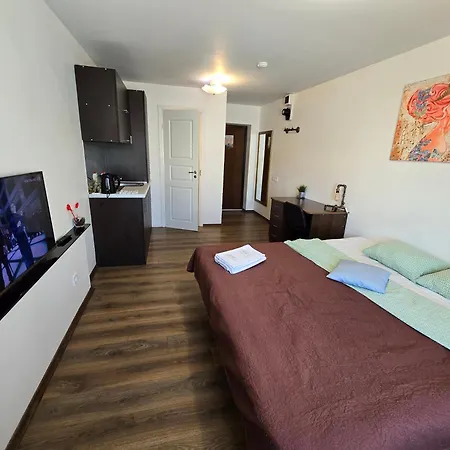 Apartman River Studio *